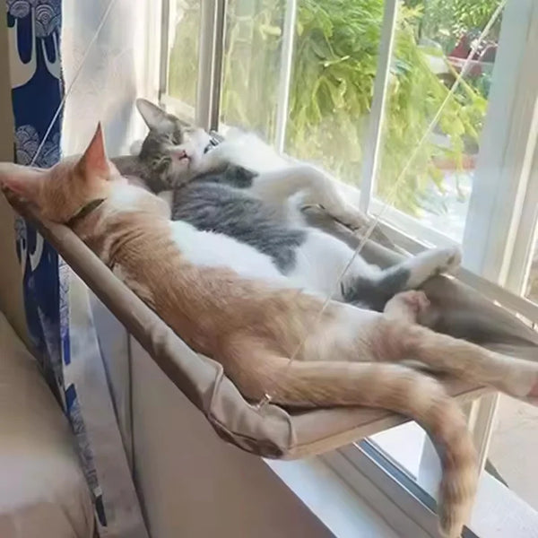 Sunny Window Cat Hammock Bed